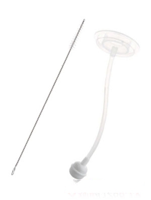 ������Ů�����ֱ�