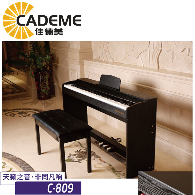 Ȫ�ݼѵ�������C-809