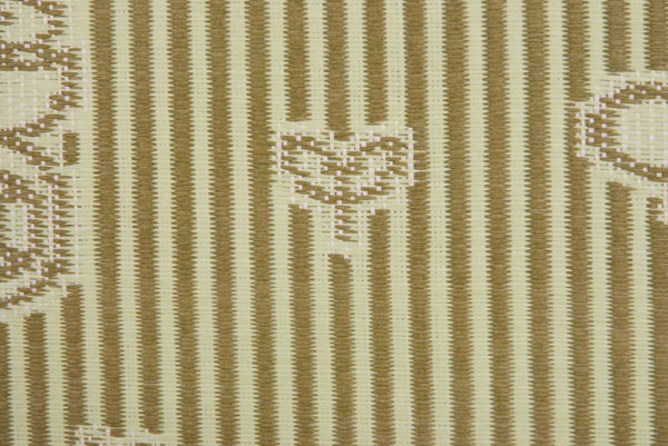 ��������A�J�C���Bͯϯ����չʾ