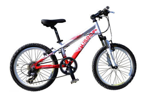 USEE優適天使鋁合金20寸兒童自行車男童款兩色可選