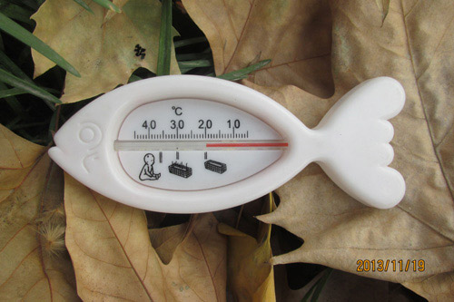 好友愛小魚溫度計