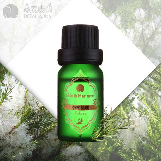  ��̩���@��侫��