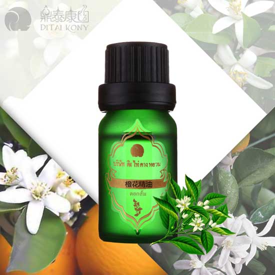  ��̩���@�Ȼ�����