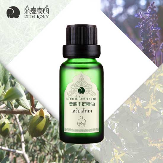  ��̩���@�����Sͦ����