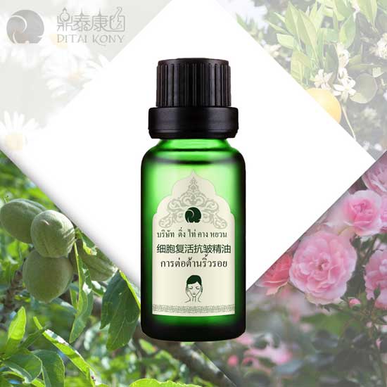  ��̩���@�����ͻ������