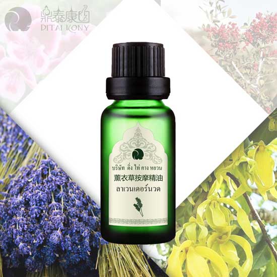  ��̩���@޹�²ݰ�Ħ����