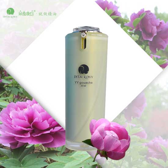 鼎泰康園YY水粉