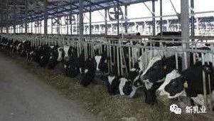 һ�ښ�������� 10 �ҹ�˾���@��������Ҫ�@ô����