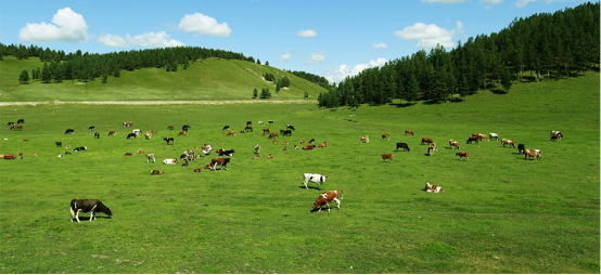 ����ĸ�����β�������һ�I�������ͯ�ИI����ĸ����ƽ�_