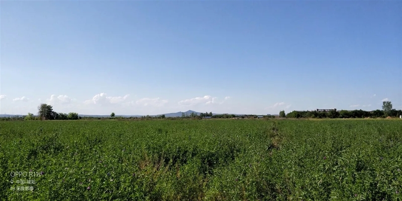 ���M�Ї����̳���ȥ̽����һ�������̡�����Ĺ���