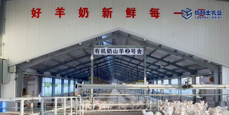 ���M�Ї����̳ǣ�ȥ̽����һ�������̡�����Ĺ���