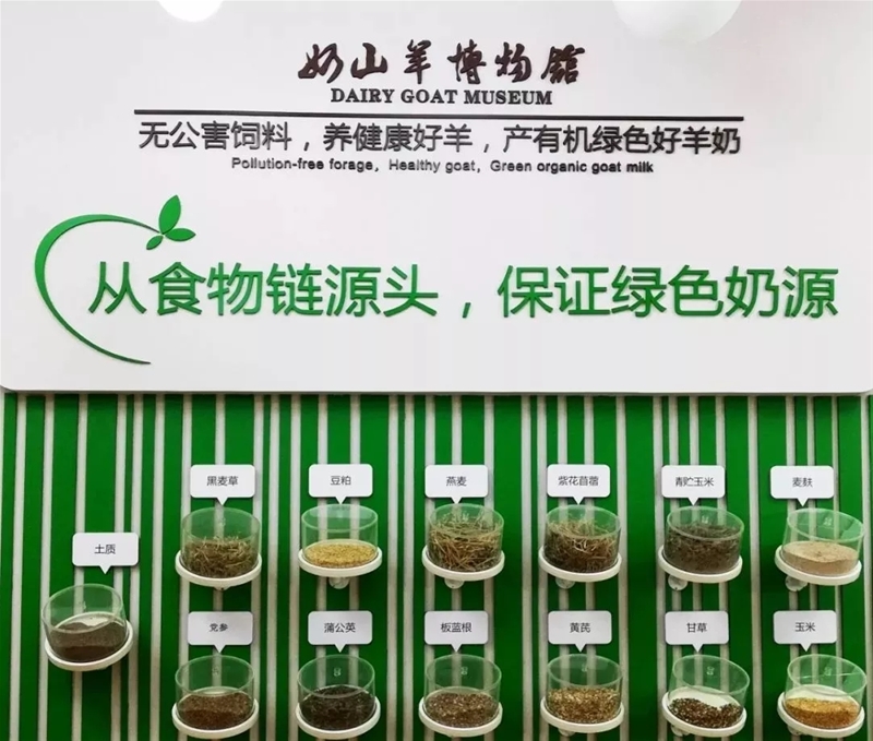 ���M�Ї����̳���ȥ̽����һ�������̡�����Ĺ���