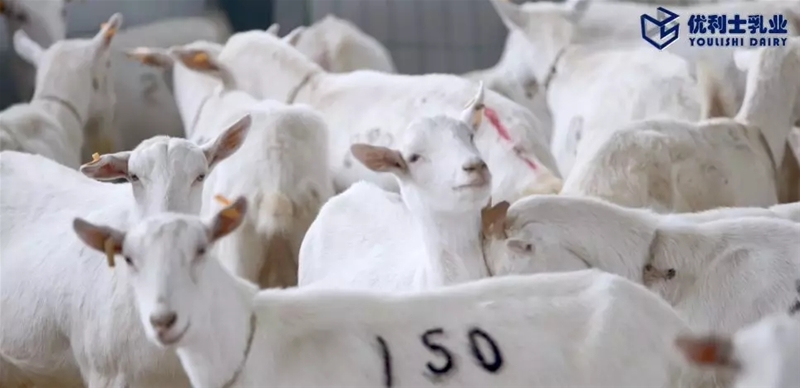 ���M�Ї����̳���ȥ̽����һ�������̡�����Ĺ���