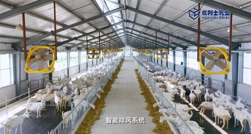 ���M�Ї����̳���ȥ̽����һ�������̡�����Ĺ���