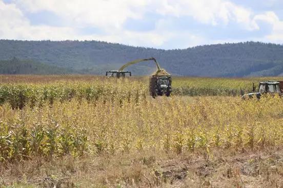 С�굽 | ��һ���~���Y�^ȥ��һ��