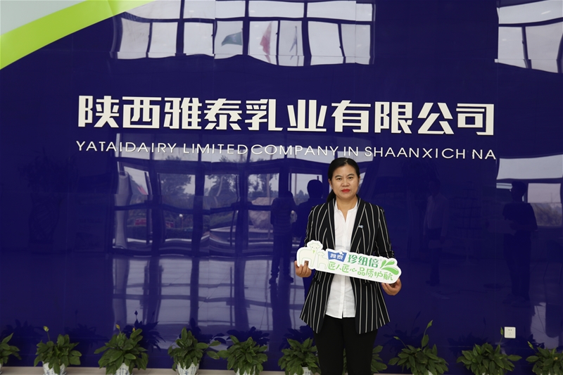 ���2019 �c��2020 ��~�����̷������ڴ���ģ�ӆ���