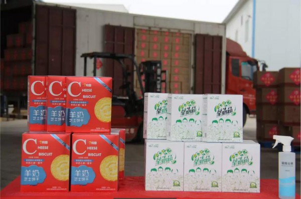 �YԮ���t������513�f�����������ߑ�