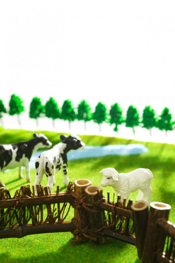 �߶��̷��Ј������������������󼊼����