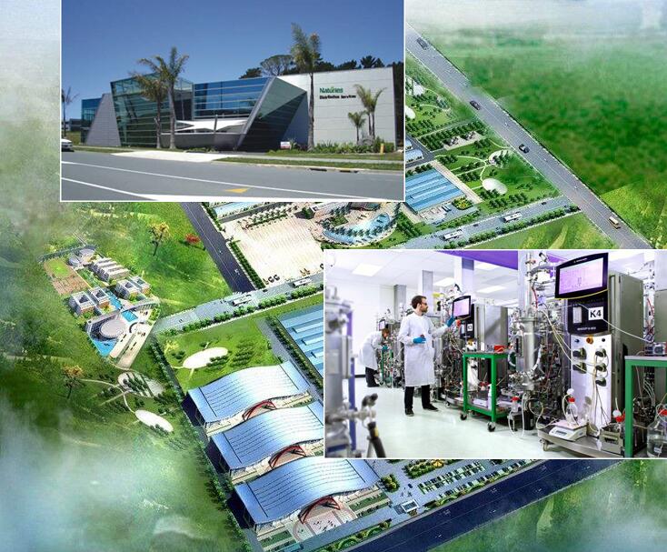 ���ˌ����F������S�ֿ����䷽ ӭ�������r��