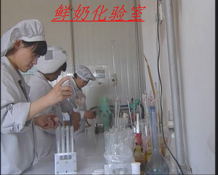 ���S���ȃ�ؐ���a��ˇ