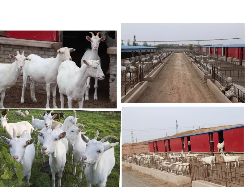 ��߅�˜�ʾ������������Ʒ��ȫ�춨���A