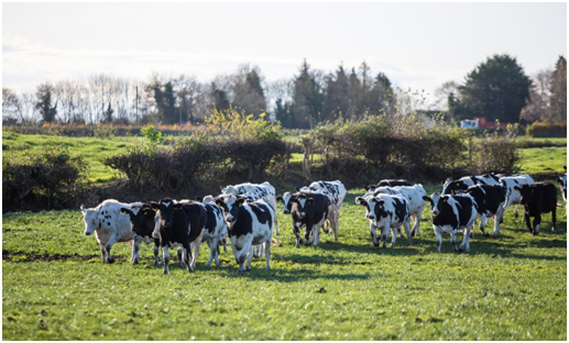 �׼��Ї��������й��S������һ����Դ���ڇ��۠��m¡���_�I