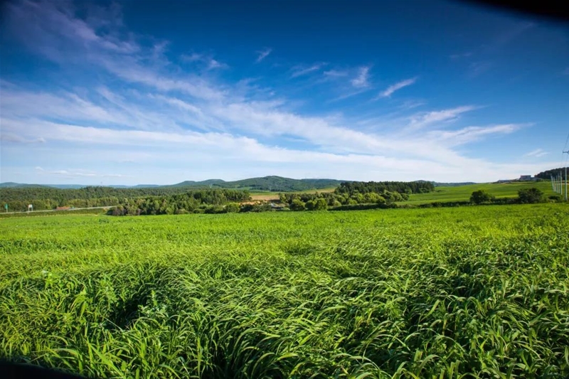 һ��ţ�̵�׃��ӛ ���V��t���ЙC������