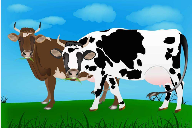 �����ԇ�c�ذ˳�����Ʒ��׷��