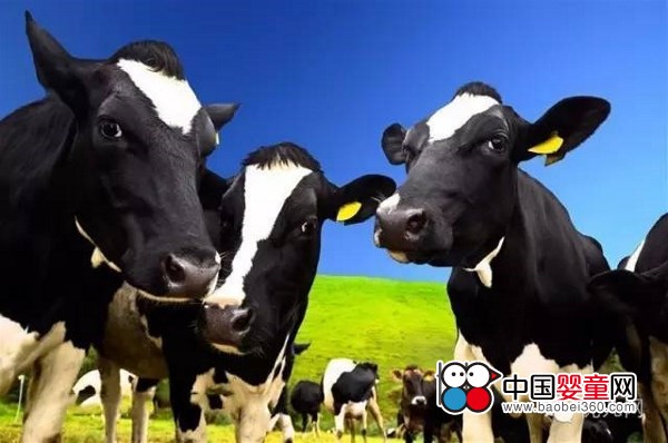 �@����ý�w���c������ ��ţ���V�����r100�f