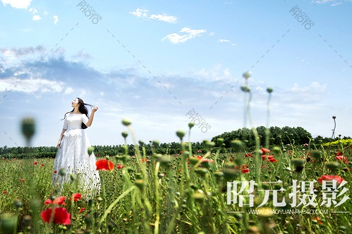 �����w���F�@Щ׃�� �Aʾ����ܑ�����