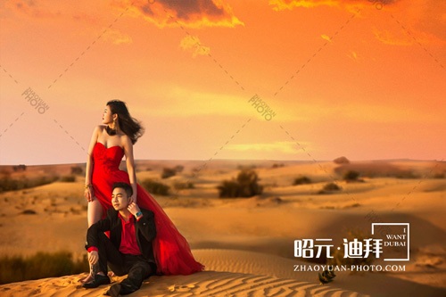 �A���w�|�����к� �@Щƫ����Ŀ��V����