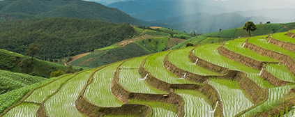 �A�ό�ؐ�ЙC���׃����������� ��������I�B������