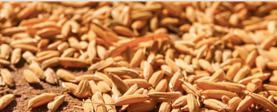 �A�ό�ؐ�ЙC���׃����������� ��������I�B������