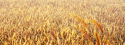 �A�ό�ؐ�ЙC���׃����������� ��������I�B������