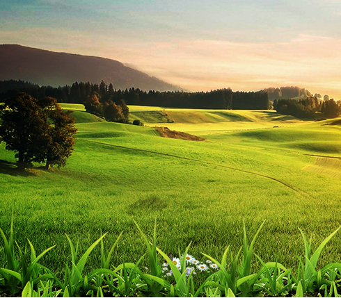 �ЙC�̷۰lչ���g�� �ǹ��S�����Ʒ�|ֵ����ه