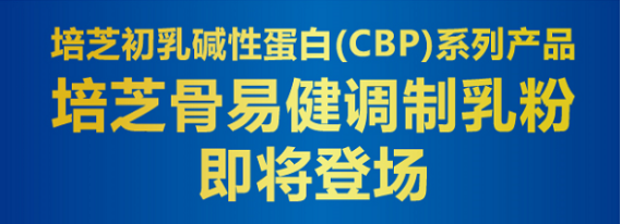 ��֥���׽��{����ۼ����ǈ� �۽�����CBP�I��ȫ���x������