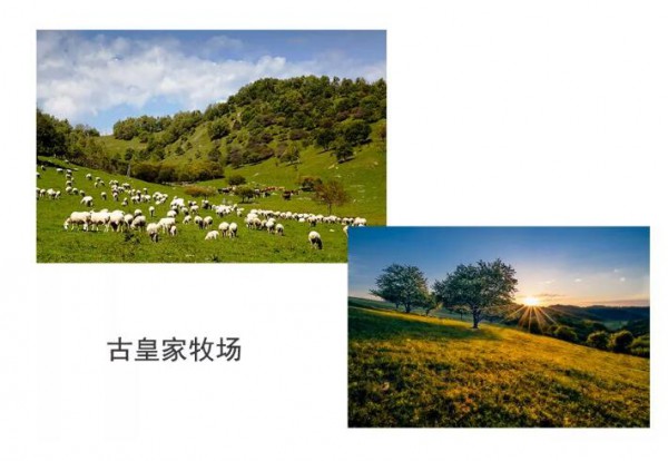 �Ї��������A��������P����ɽ��a�I�о�Ժ������