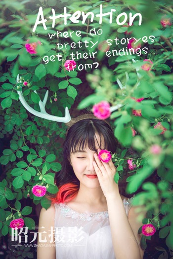 ̥���Aʾ̥���Ԅe�����לʲ��ʣ�